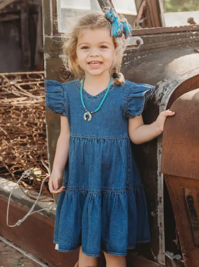 Denim Ruffle Short Sleeve Dress