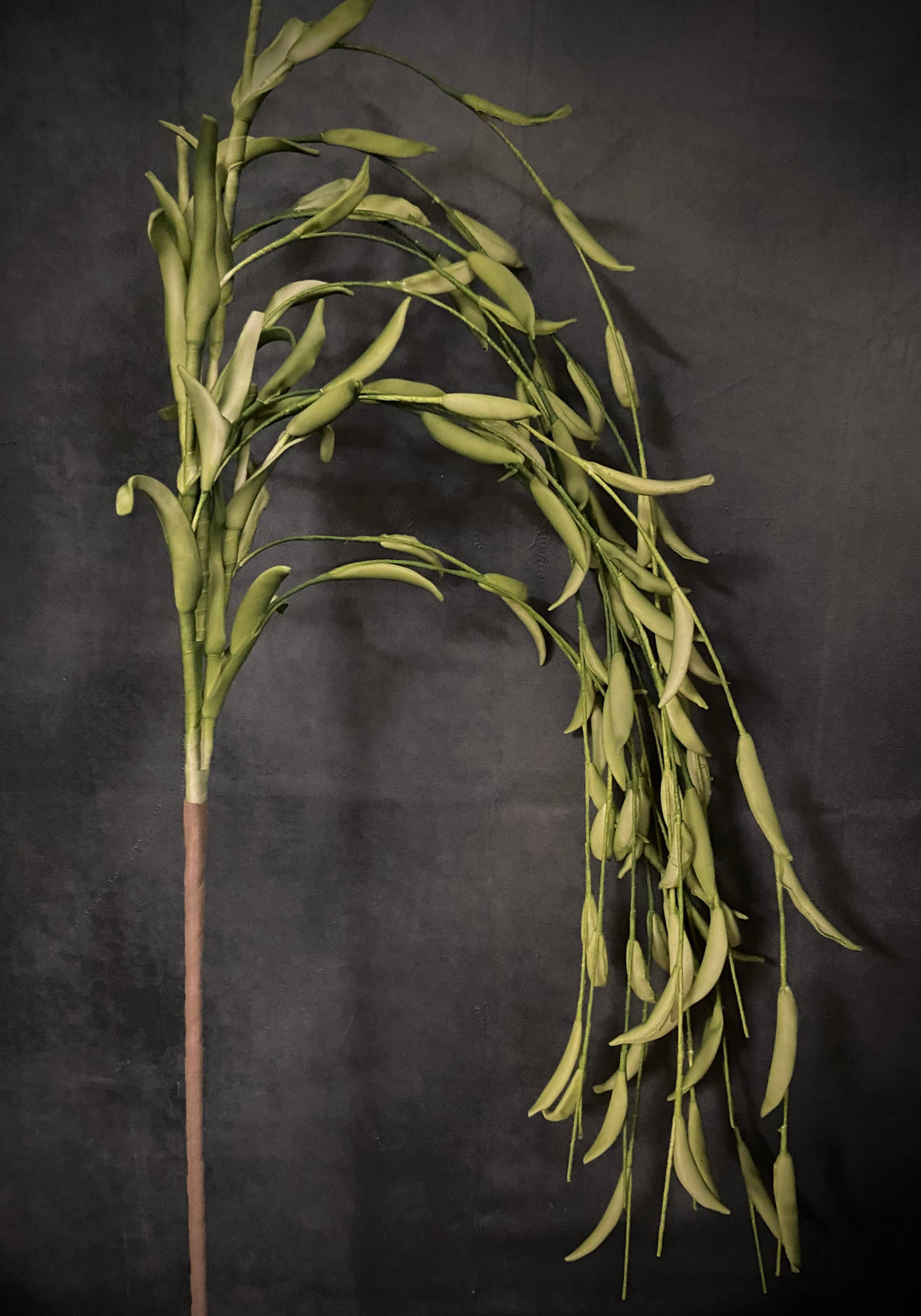 JADE GREEN CASCADE BRANCH