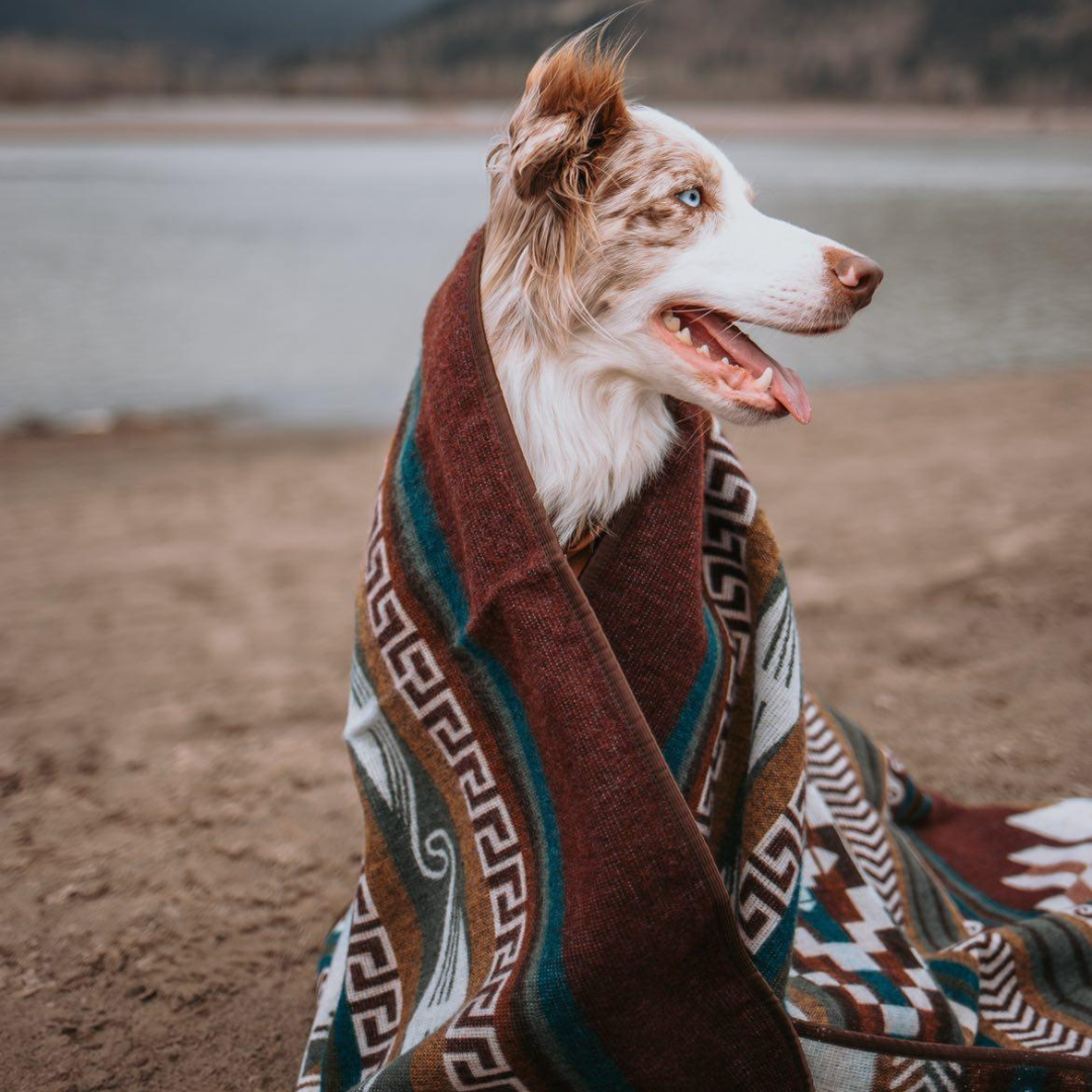 Cayambe Aztec Reversible Blanket