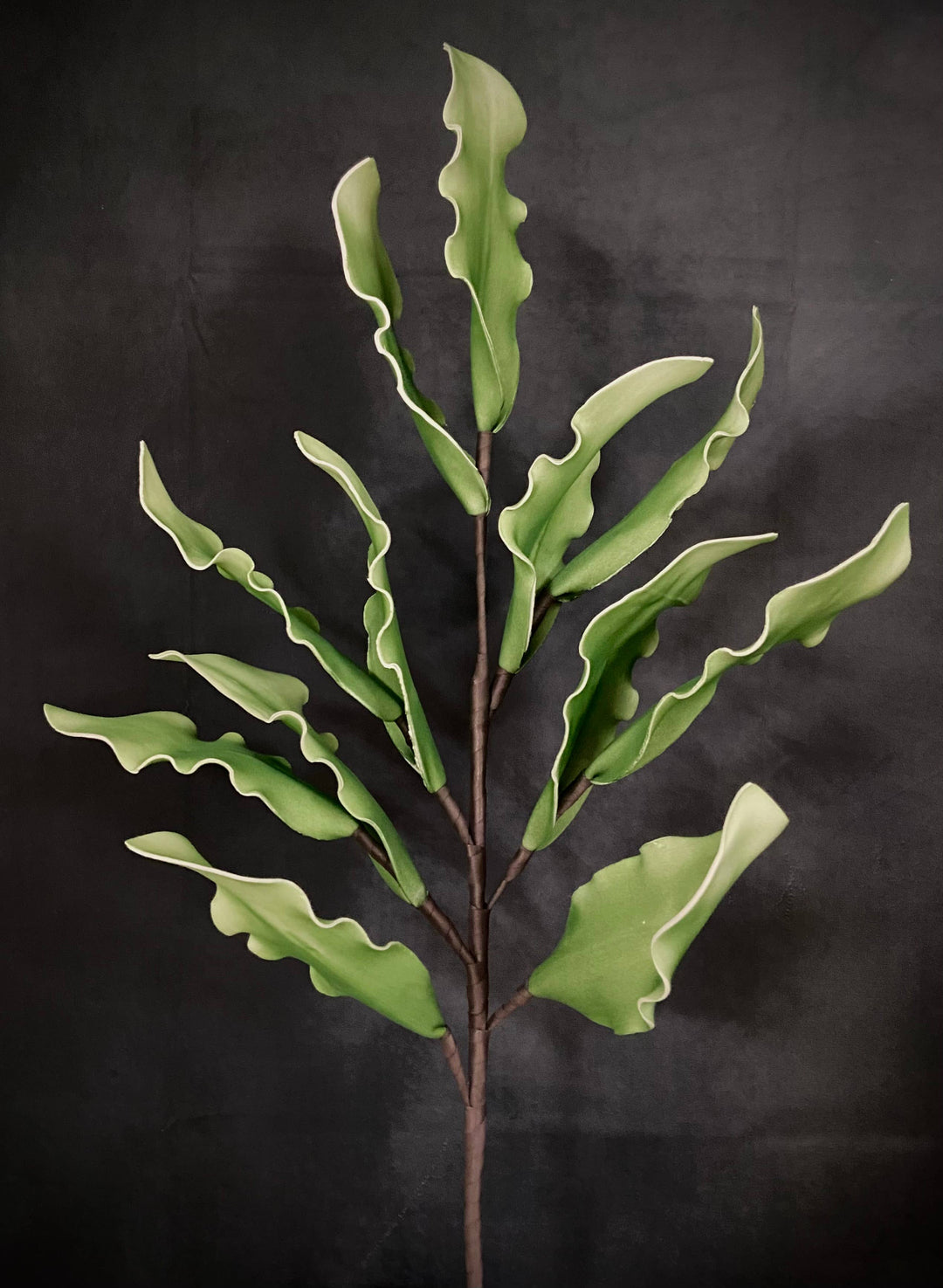 JADE GREEN LEAVES