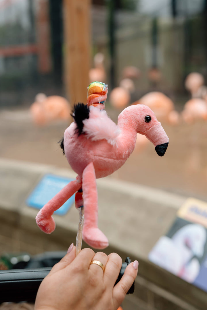 Display Wooden Lollyplush Vertical Stand holds 120