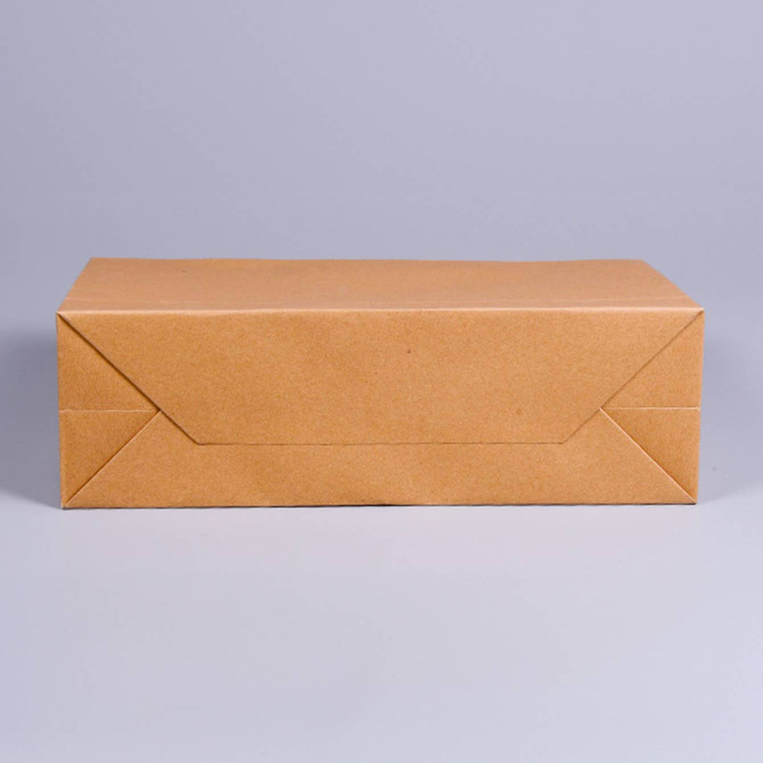 Premium Threaded Rope Kraft Brown Paper Gift Bag w/ tissue