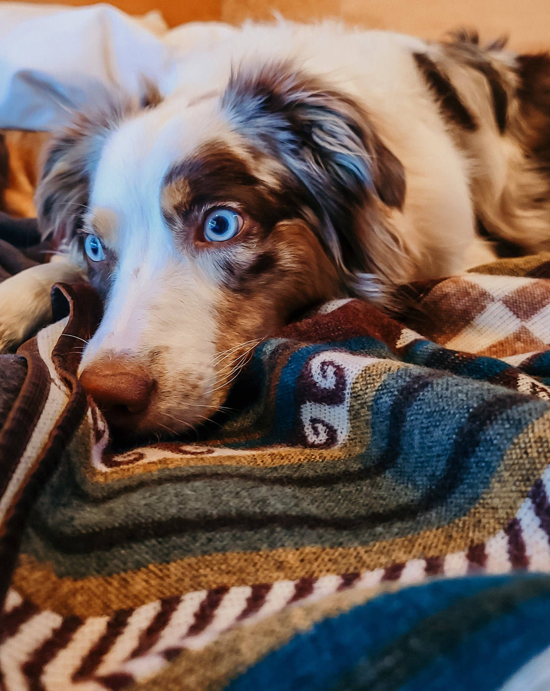 Cayambe Aztec Reversible Blanket