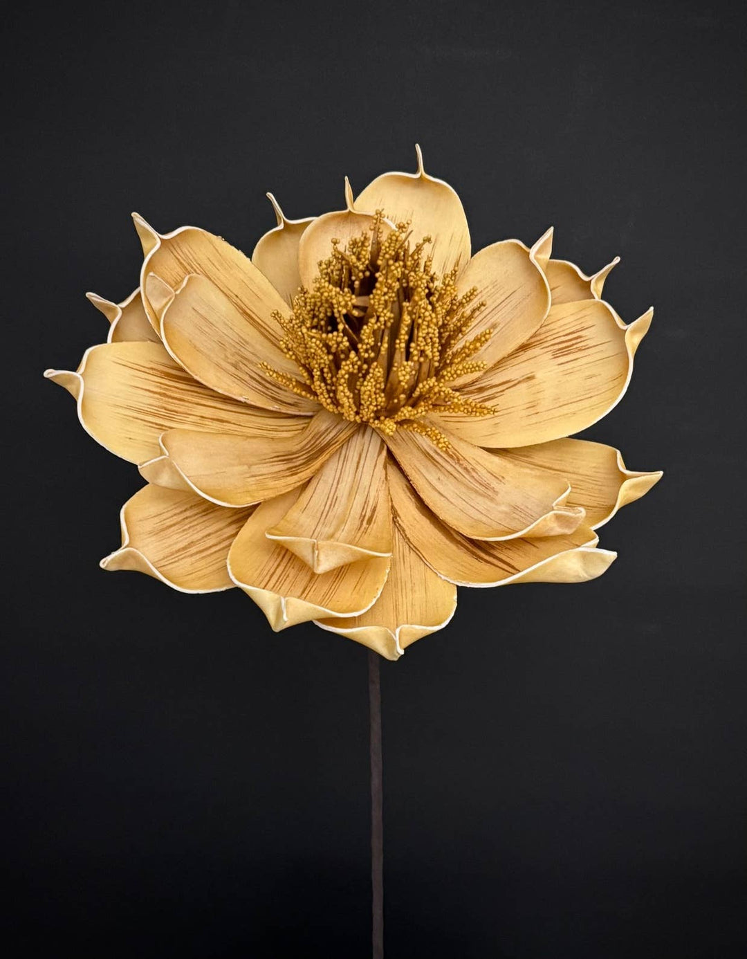 MUSTARD FLOWER 25.5"