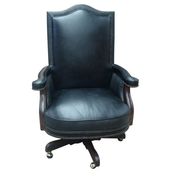 Desert Agave Executive Office Chair