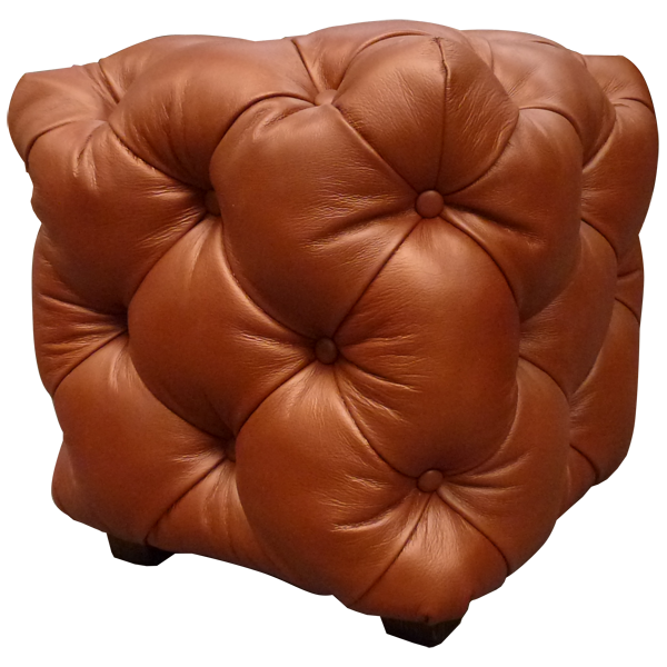 Saguaro Canyon Ottoman